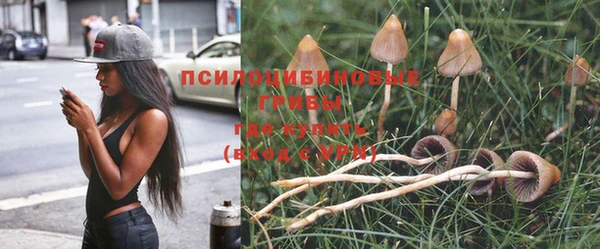 соль курить ск Новозыбков
