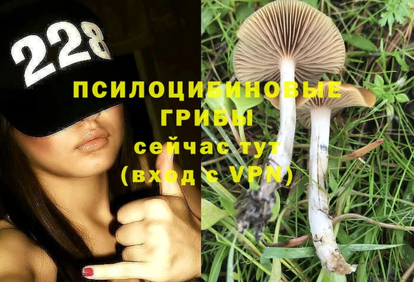 ешки Новокубанск