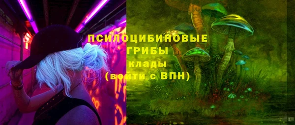 соль курить ск Новозыбков
