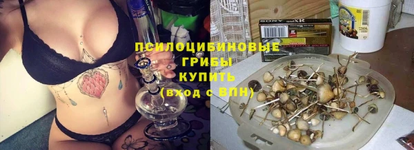 ешки Новокубанск